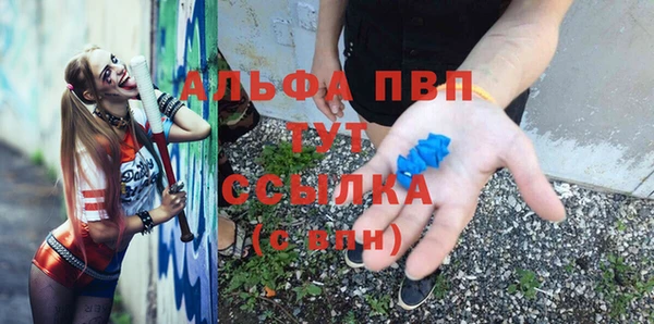 прущие грибы Липки