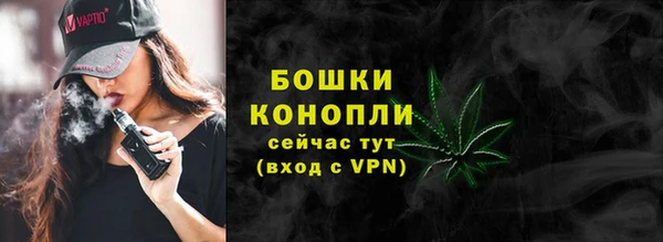 прущие грибы Липки