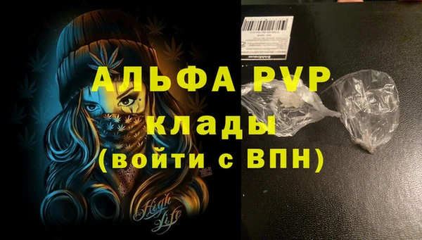 спиды Медногорск