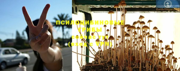 ГАЛЛЮЦИНОГЕННЫЕ ГРИБЫ Мегион