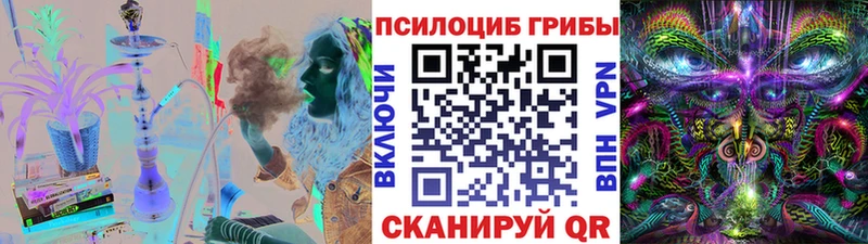 blacksprut как войти  Кумертау  Галлюциногенные грибы мицелий 